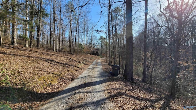 view of road with driveway