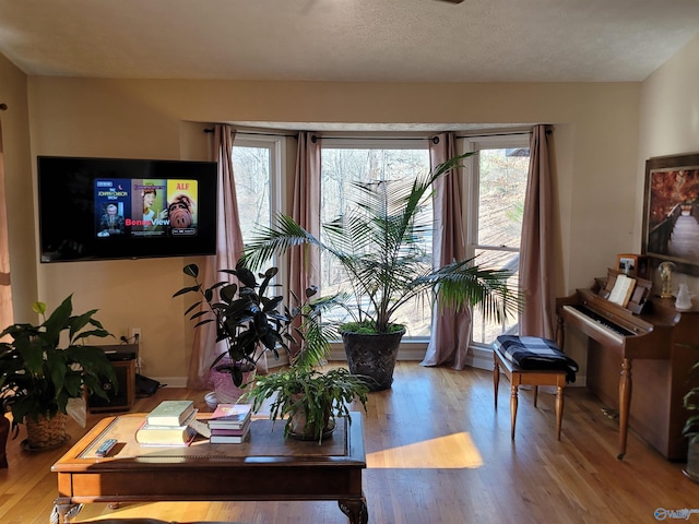 living room with a textured ceiling and wood finished floors