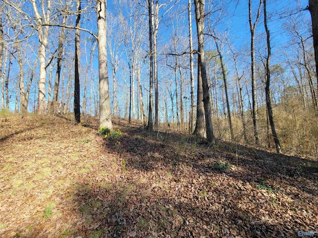 view of landscape