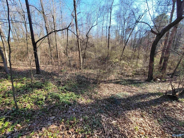 view of nature featuring a wooded view