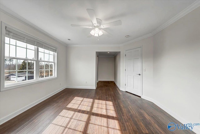 unfurnished bedroom featuring ceiling fan, ornamental molding, dark hardwood / wood-style flooring, and a spacious closet