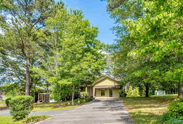 view of property hidden behind natural elements featuring aphalt driveway and stucco siding