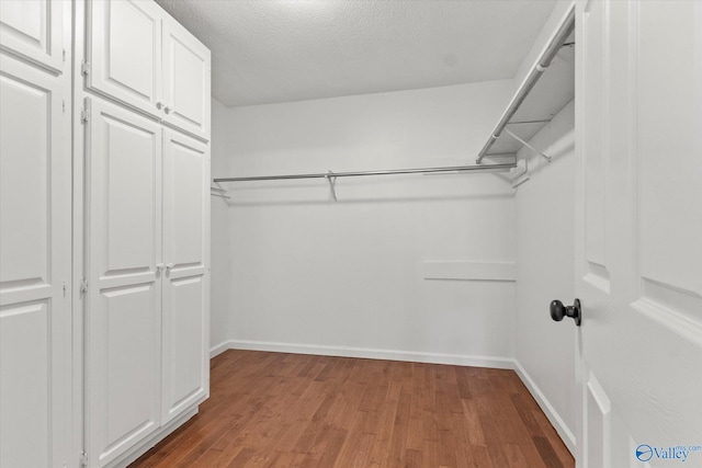 spacious closet with light hardwood / wood-style flooring