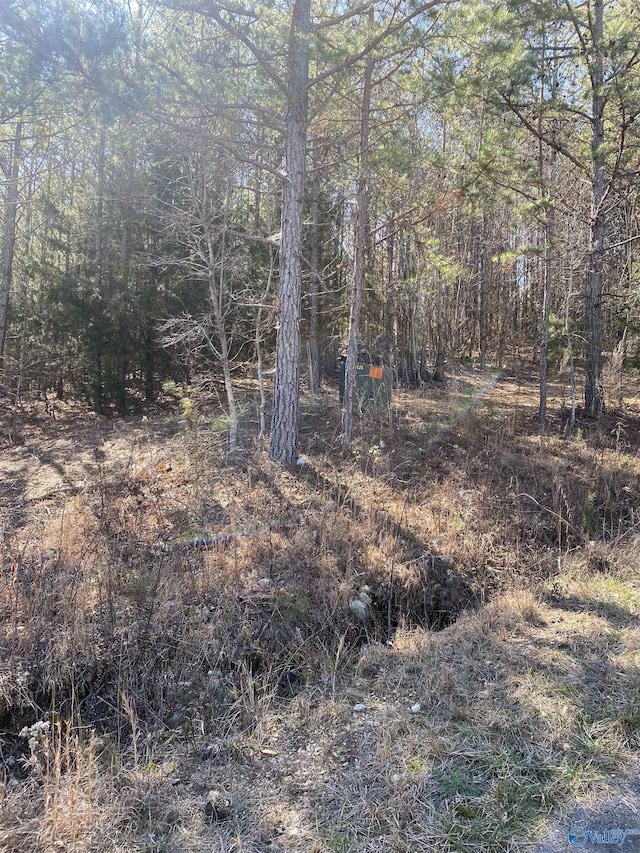 LOT1BLK2 Alyson Ave, Fort Payne AL, 35968 land for sale