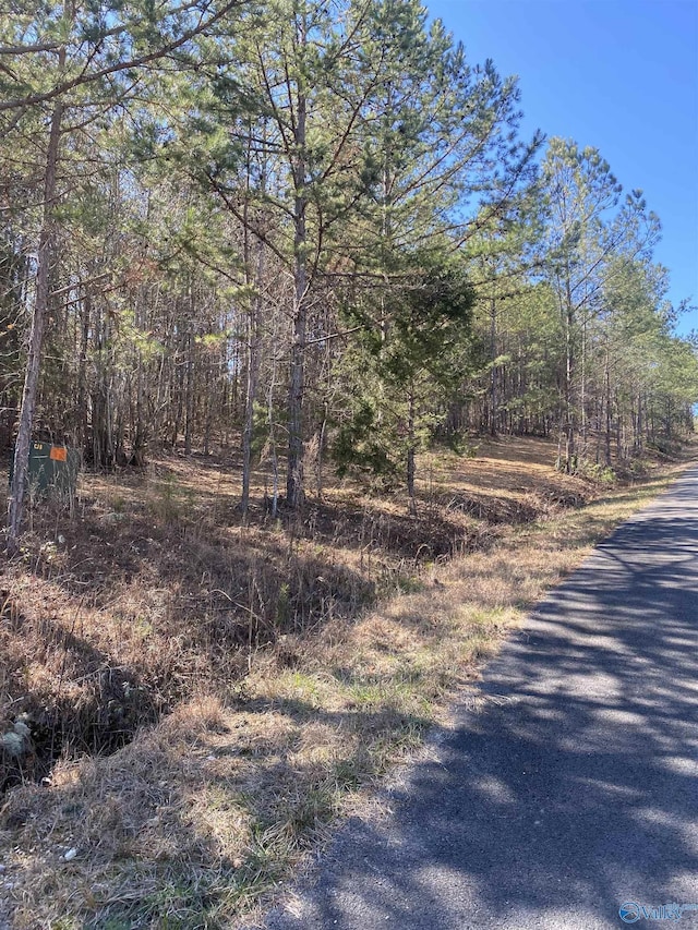 Listing photo 2 for LOT1BLK2 Alyson Ave, Fort Payne AL 35968