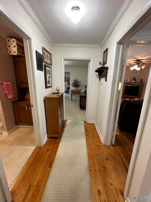 hallway featuring light hardwood / wood-style floors, a textured ceiling, and ornamental molding