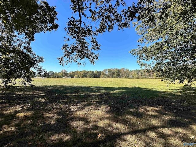 view of yard with a rural view