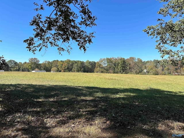 view of yard with a rural view