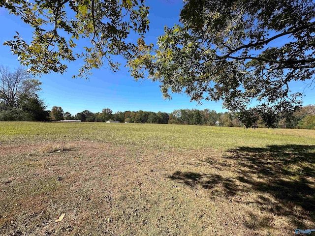 view of yard with a rural view