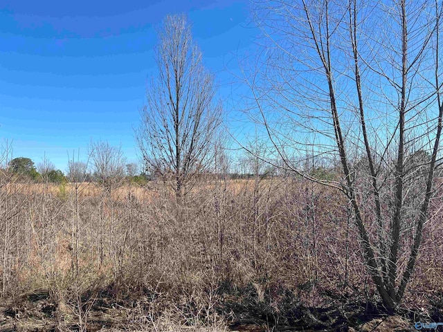 LOT13 County Road 487, Moulton AL, 35650 land for sale