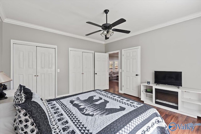 bedroom featuring dark hardwood / wood-style flooring, ceiling fan, crown molding, and two closets