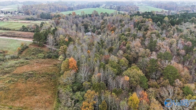 bird's eye view featuring a rural view