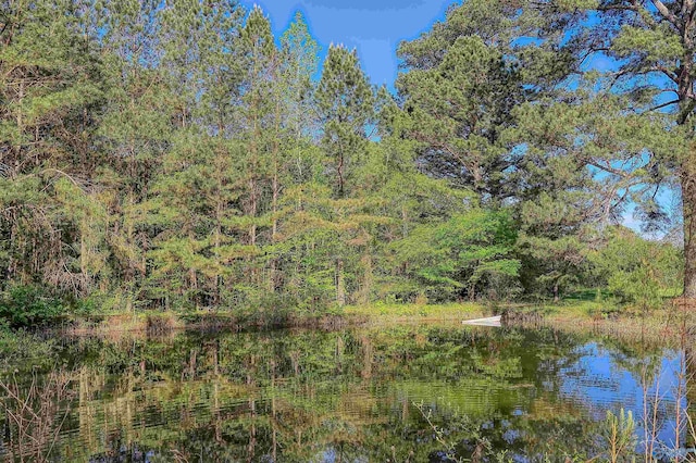 view of nature featuring a water view