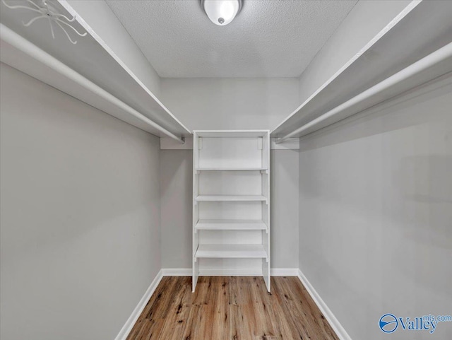 1419 11th St SE, Cullman, AL 35055 - walk in closet with wood finished floors