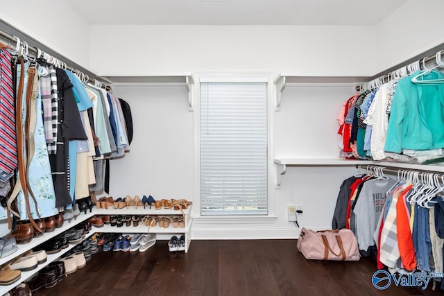 walk in closet with wood finished floors