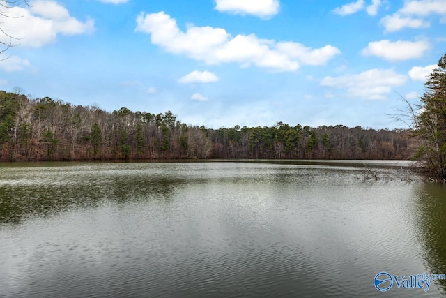 property view of water featuring a forest view