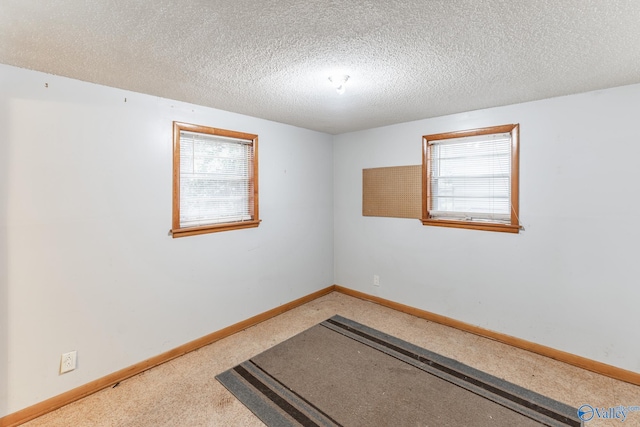 empty room with plenty of natural light, carpet floors, and a textured ceiling