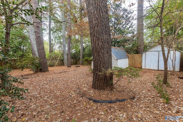 view of yard featuring a storage unit