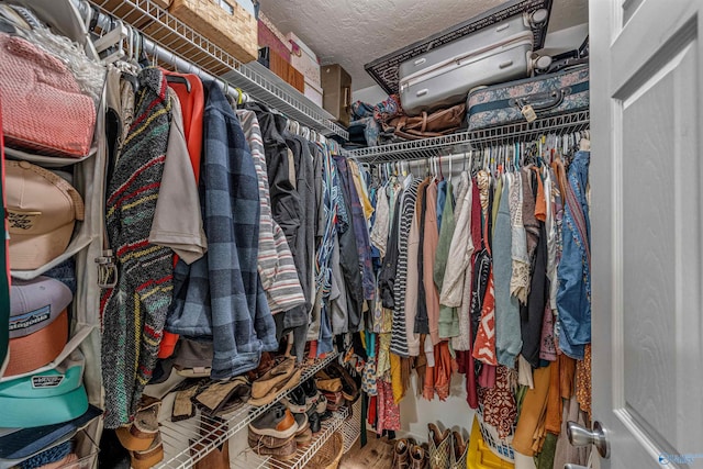 view of walk in closet