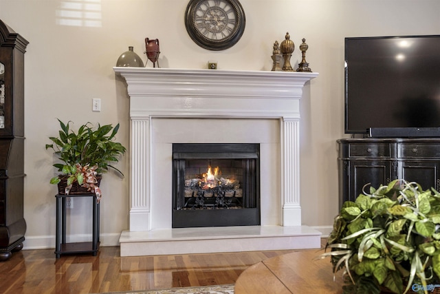 details with hardwood / wood-style flooring and a premium fireplace