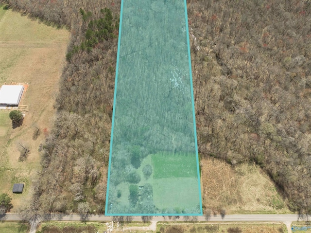 LANDON Bobo Section Rd, Hazel Green, AL 35750