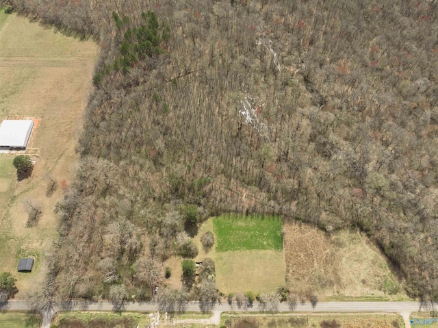 LANDON Bobo Section Rd, Hazel Green, AL 35750