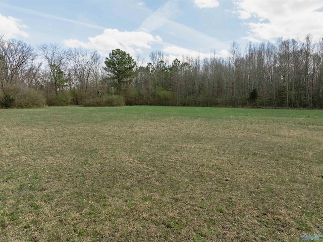 LANDON Bobo Section Rd, Hazel Green, AL 35750