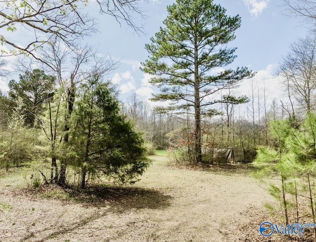LANDON Bobo Section Rd, Hazel Green, AL 35750