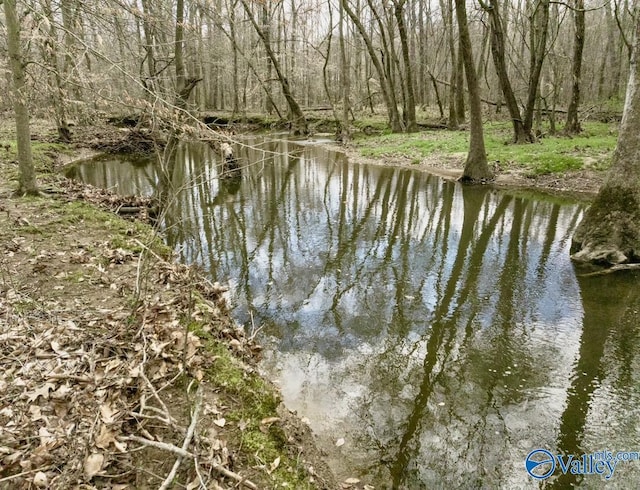 LANDON Bobo Section Rd, Hazel Green, AL 35750