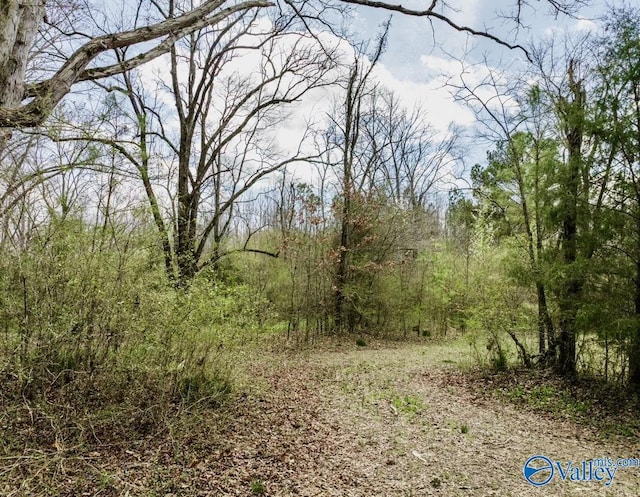 LANDON Bobo Section Rd, Hazel Green, AL 35750