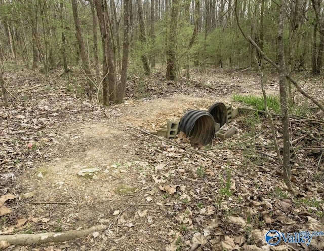 LANDON Bobo Section Rd, Hazel Green, AL 35750