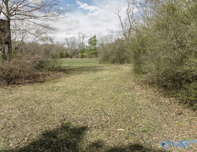 LANDON Bobo Section Rd, Hazel Green, AL 35750