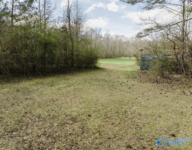 LANDON Bobo Section Rd, Hazel Green, AL 35750
