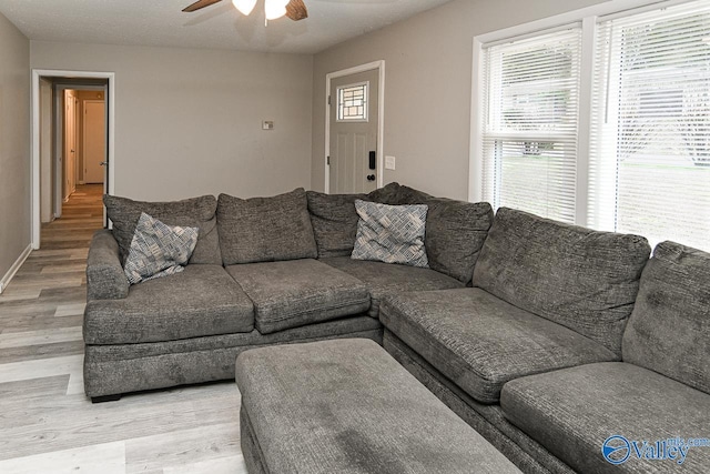 living room with ceiling fan and light hardwood / wood-style flooring