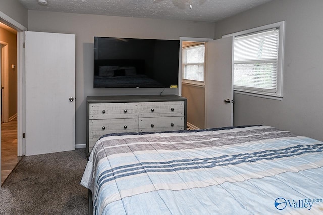 bedroom with carpet flooring and a textured ceiling