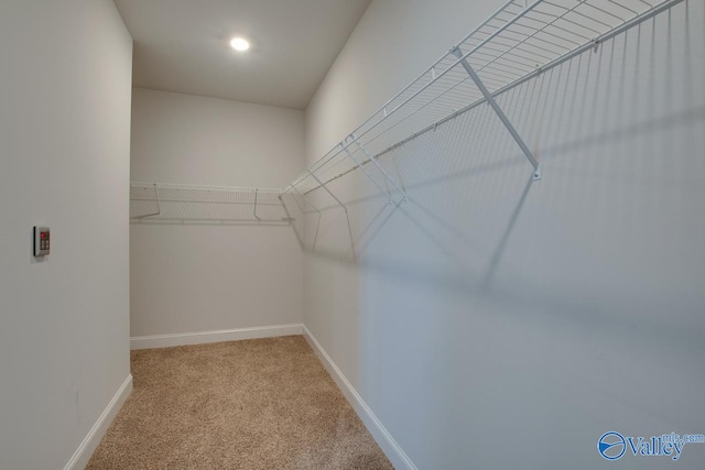 spacious closet with light carpet