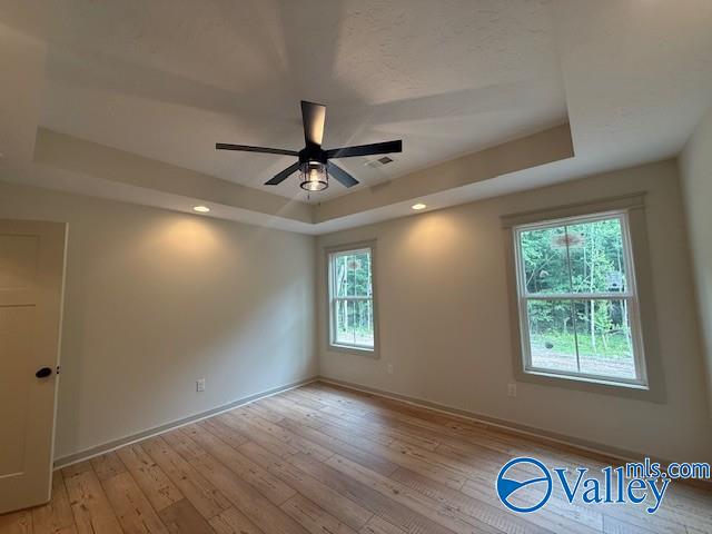 6255 Vista Trl, Southside, AL 35907 - empty room featuring a raised ceiling, healthy amount of natural light, ceiling fan, and light wood-style flooring