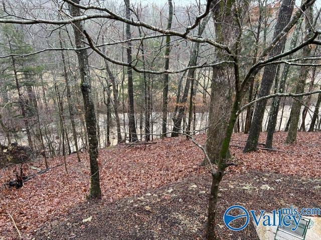 view of local wilderness featuring a view of trees