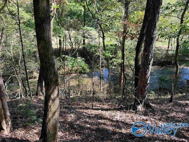 view of nature with a wooded view