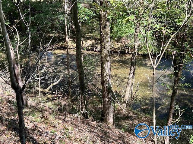 view of local wilderness with a wooded view