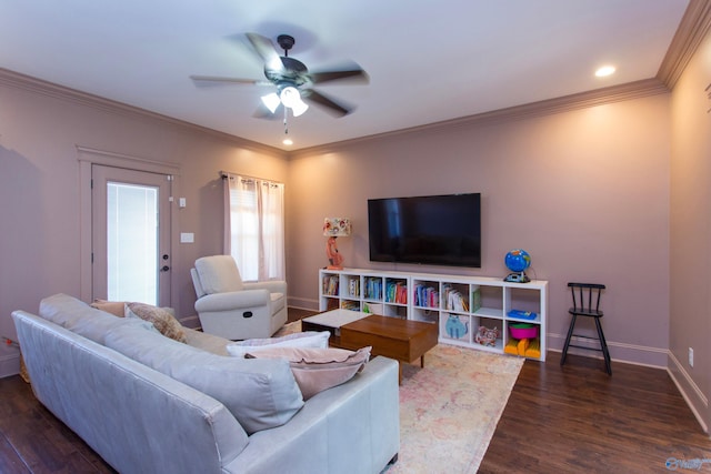 living room with dark hardwood / wood-style flooring, ceiling fan, and ornamental molding