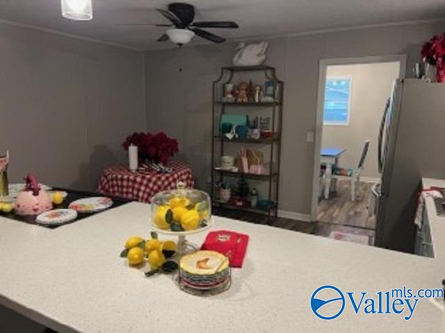 kitchen featuring stainless steel fridge, ceiling fan, and crown molding