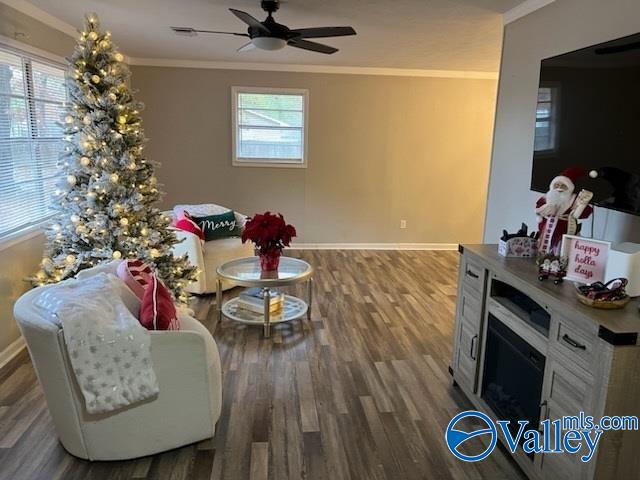 living room with hardwood / wood-style floors, ceiling fan, and ornamental molding