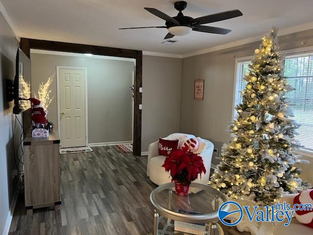 interior space with ceiling fan, dark hardwood / wood-style floors, and ornamental molding