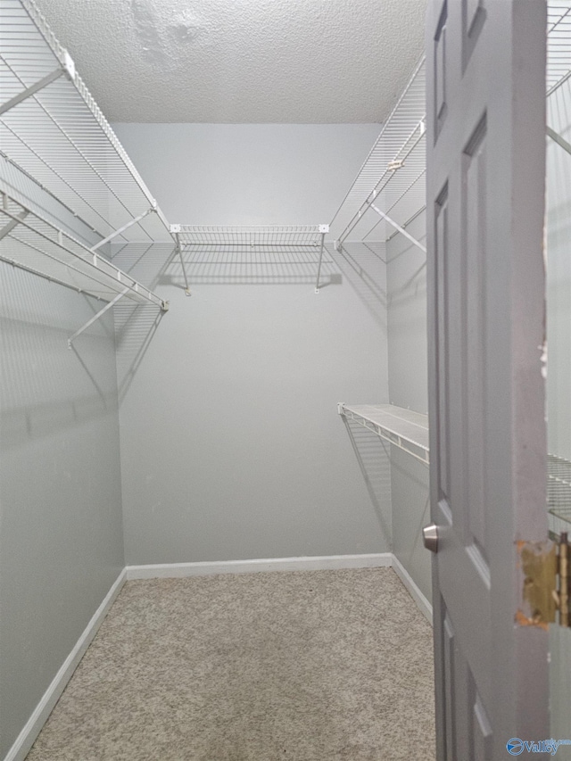 spacious closet with carpet flooring