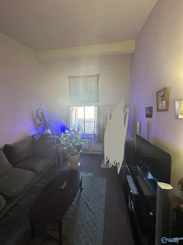 view of carpeted living area