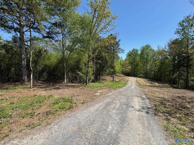view of road with a view of trees