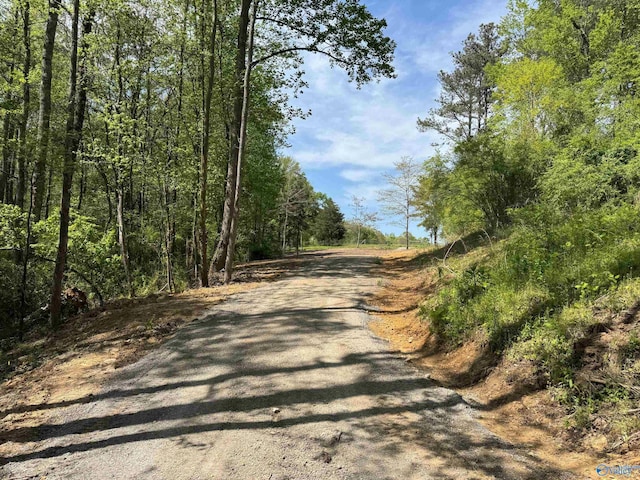 view of street with a forest view