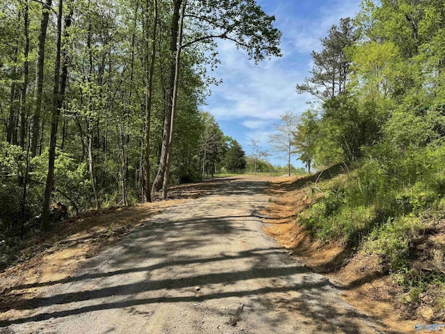 view of road