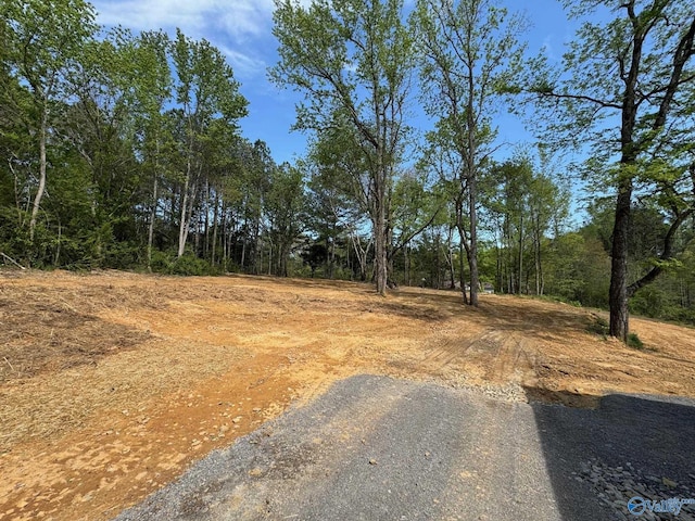 view of road with a wooded view